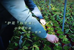 “岩中花述”｜“护花”科学家：小溪洞杜鹃 一花一世界