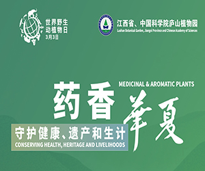 药香匡庐，聚焦药用植物?；ぃ?></a>
							</div>
							<div   id=