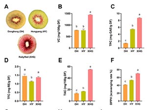 Red but not the same: Biochemical, metabolomic and flavoromic analyses reveal signature variations in red-fleshed kiwifruit cultivars